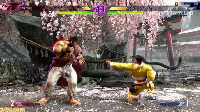蹲下中段拳。动作紧凑不易露出破绽 蹲下中段拳。动作紧凑不易露出破绽