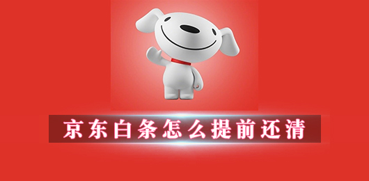 京东白条怎么提前还清