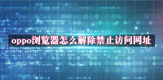 OPPO浏览器怎么解除禁止访问网址