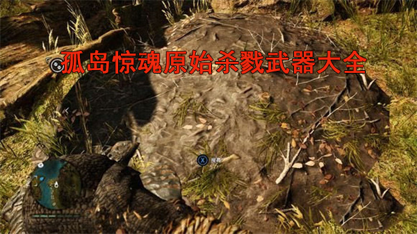 孤岛惊魂原始杀戮武器大全