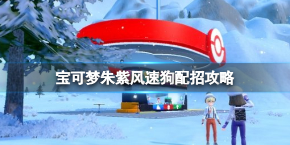 宝可梦朱紫风速狗配招攻略