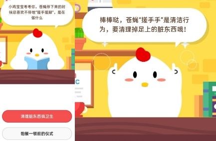 苍蝇停下来的时候总喜欢不停地搓手搓脚，是在做什么