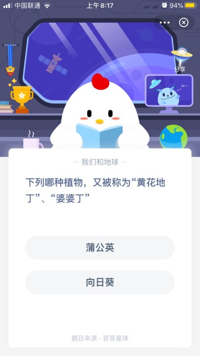 下列哪种植物，又被称为黄花地丁、婆婆丁