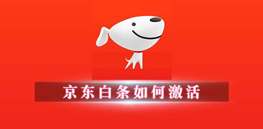 京东白条如何激活
